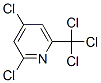 Structure of 1129-19-7
