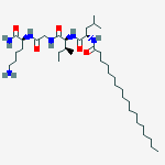 Structure of 562834-19-9